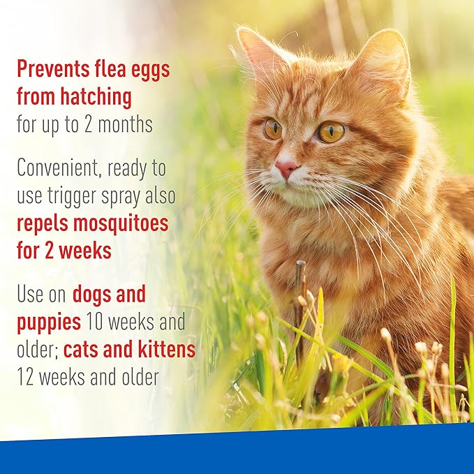 Adams Plus Flea & Tick Spray | Kills Adult Fleas, Flea Eggs, Flea Larvae, Ticks, and Repels Mosquitoes For Up To 2 Weeks | Controls Flea Reinfestation For Up To 2 Months | 32 Oz