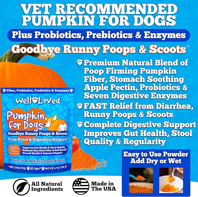 Pumpkin for Dogs - Pumpkin Puree, Canned Pumpkin (Alternative), Fiber for Dogs, Probiotic Powder, Pumpkin Powder, Dog Diarrhea, Digestive Support, Perfect for Firm Poops and No Scoots, 6 oz