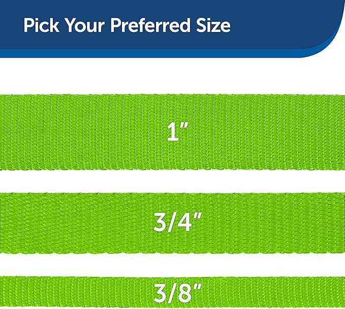 PetSafe Nylon Dog Leash - Strong, Durable, Traditional Style Leash with Easy to Use Bolt Snap - 3/4 in. x 6 ft., Apple Green