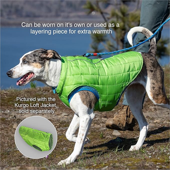 Kurgo Core Dog Sweater, Knit Dog Sweater with Fleece Lining, Cold Weather Pet Jacket, Zipper Opening for Harness, Adjustable Neck, Year-Round Sweater for Large Dogs (Orange, Large)