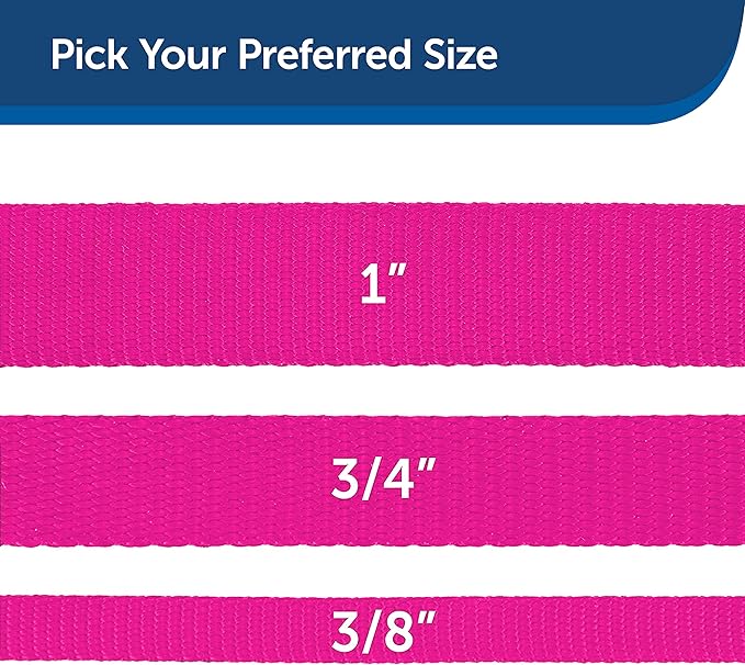 PetSafe Nylon Dog Leash - Strong, Durable, Traditional Style Leash with Easy to Use Bolt Snap - 3/4 in. x 3 ft., Raspberry Pink