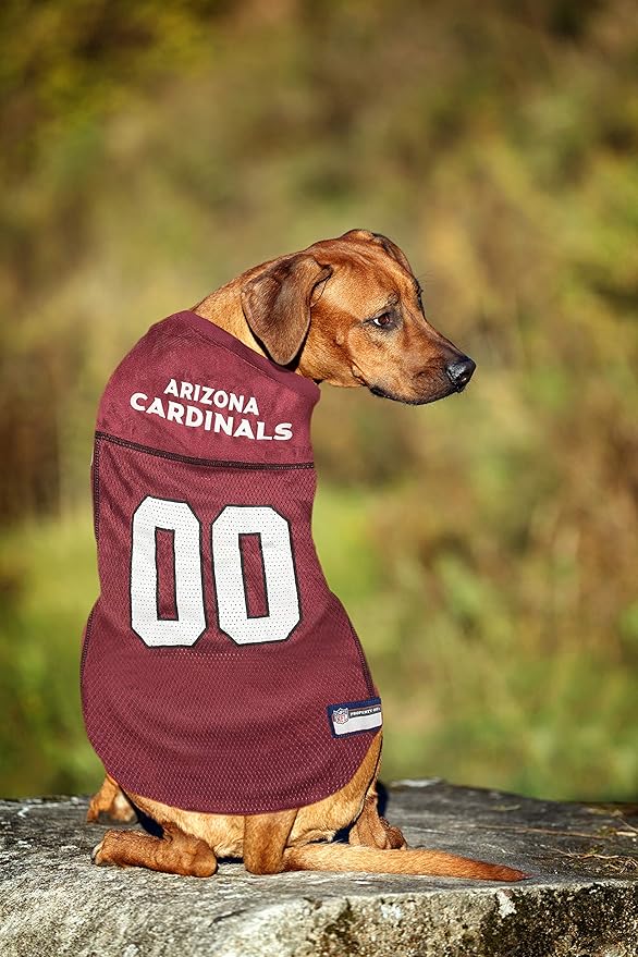 NFL Arizona Cardinals Dog Jersey, Size: Medium. Best Football Jersey Costume for Dogs & Cats. Licensed Jersey Shirt