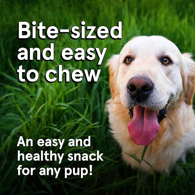 Real Meat Dog Treats - Two 12oz Bag of Bite-Sized Air-Dried Lamb & Liver Jerky for Dogs - Grain-Free Jerky Dog Treats Made up of 95% Human-Grade, Free-Range, Grass Fed Lamb - All-Natural Dog Treats