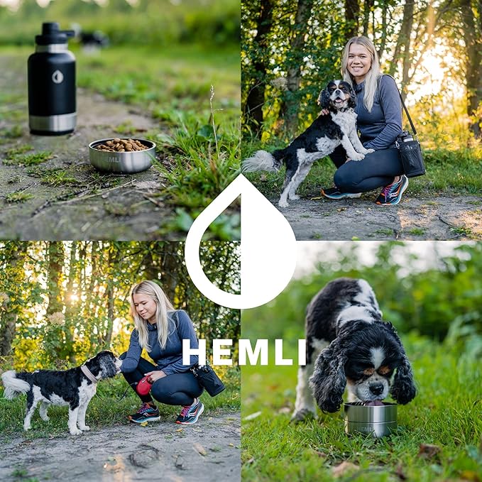 Dog Water Bottle Insulated Dog Travel Water Bottle Stainless Steel Pet Water Bottle Dispenser Portable Food and Water Bowl for Dogs with Carrying Case for Walking Dog Travel Kit… (Green Blue, 32 oz)