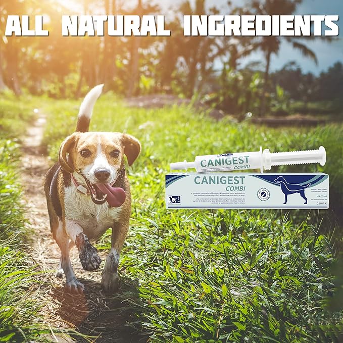 Canigest Combi - Diarrhea Treatment for Dogs | Stop Diarrhea in Hours | Combination of Pectin + Kaolin + 2 Probiotics + 2 Prebiotics | No Recurrence of Symptoms for Months - 32mL