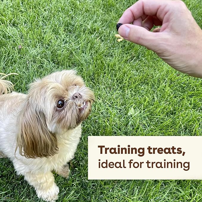 Pupford Freeze Dried Training Treats for Dogs & Puppies, 425+ One Ingredient Bites (Blueberry, 2 oz)