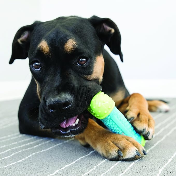 KONG CoreStrength Bone - Dog Dental Chew Toy - Durable, Multi-Layered Dog Toy for Enrichment Play & Dental Care - with Textured Body for Teeth Cleaning - for Small/Medium Dogs