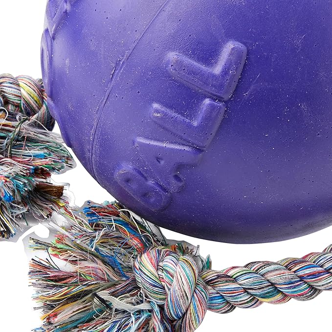 Jolly Pets Romp-n-Roll Rope and Ball Dog Toy, 8 Inches/Large, Purple, Large Breeds