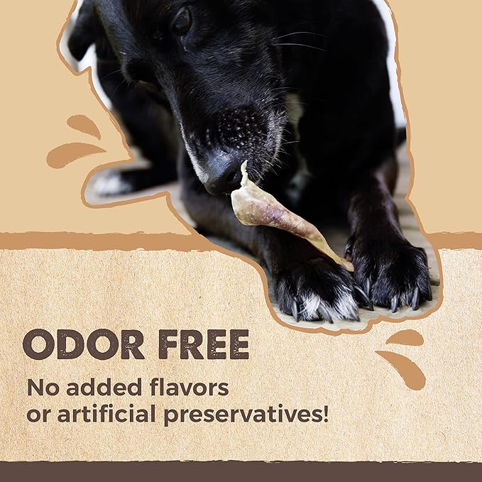 Mighty Paw Half Pig Ears for Dogs - All Natural Single Ingredient Pig Ear Treat - Better Than Rawhide Snacks for Puppies and Large Dogs - A Better Treat Dog Will Love - Dog Toys Compatible Chews