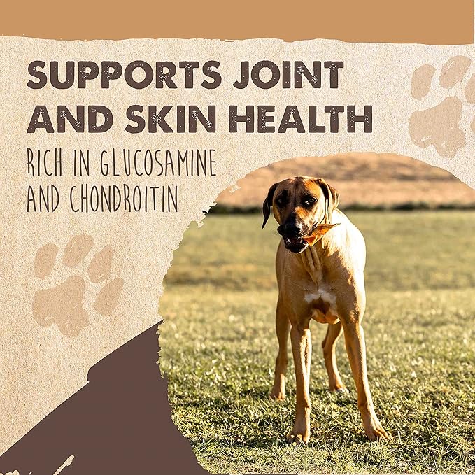 Mighty Paw Full Pig Ears for Dogs Large - All Natural, Single Ingredient Pig Ear Dog Treats. Better Than Rawhide Dog Snacks for Small and Large/Medium Dogs. Pigs Ears Dog Chews, Dog Pig Ears 12 Pack