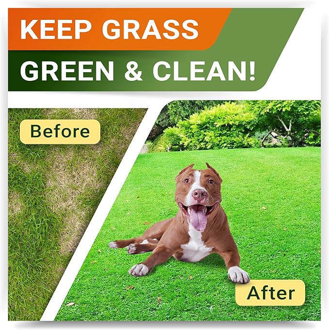 StrellaLab Grass Restore Treats for Dogs - Dog Pee Lawn Repair Chew Probiotics + Digestive Enzymes, Cranberry - Dog Urine Neutralizer for Grass Burn Spots - Health & Wellness Supplements for Dog