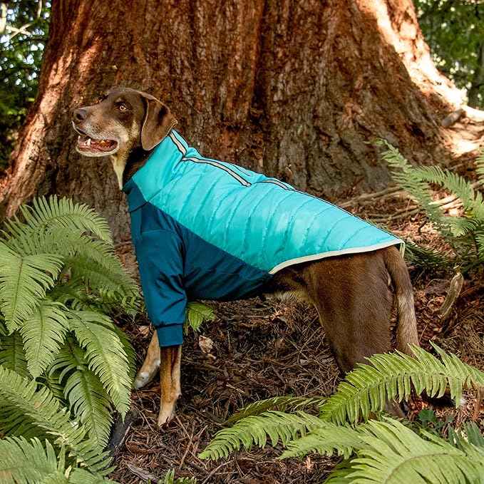 Furhaven Water-Repellent Large Dog Coat, Washable w/ Leash Access & Stretch Fabric - Pro-Fit Active Jacket - Aquamarine, Large