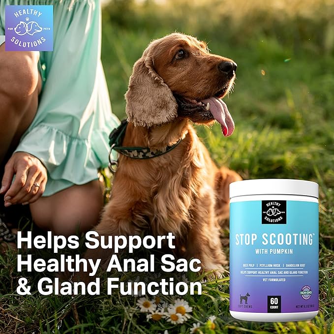 Dog Fiber Soft Chews Supplement - Stop Scooting Digestive Formula Enhanced with Pumpkin, Psyllium Husk, & Beet Pulp - Supports Dogs Healthy Anal Gland, Stool & Constipation - Made in USA, 60 ct