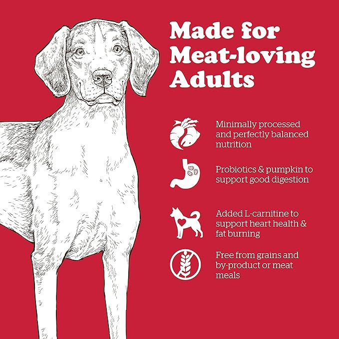 Now Fresh Grain Free Dog Food, 22 lb - Red Meat Dry Dog Food Recipe for Adult Dogs with Real Meat for Protein - for Small, Medium and Large Breeds