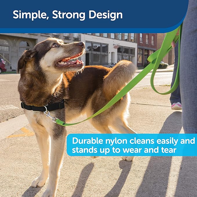 PetSafe Nylon Dog Leash - Strong, Durable, Traditional Style Leash with Easy to Use Bolt Snap - 3/4 in. x 6 ft., Apple Green