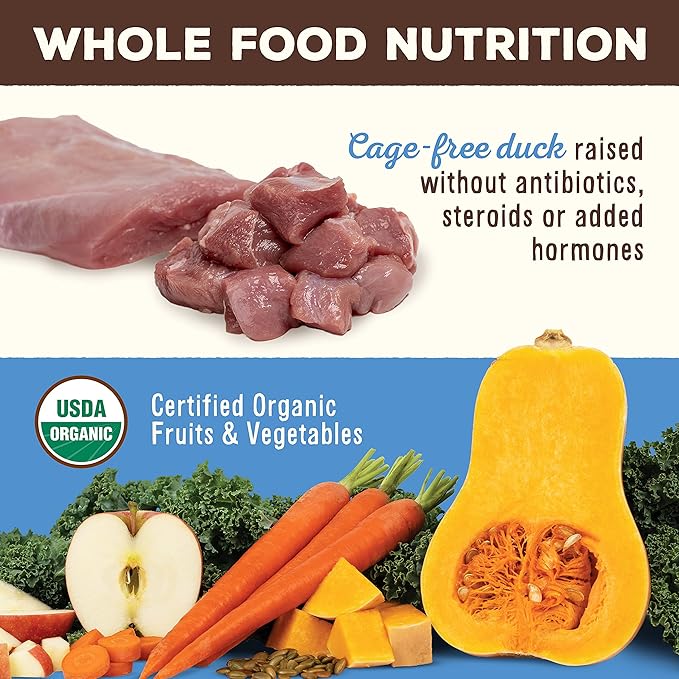 Primal Freeze Dried Dog Food Nuggets, Duck; Complete & Balanced Meal; Also Use as Topper or Treat; Premium, Healthy, Grain Free, High Protein Raw Dog Food, 14 oz