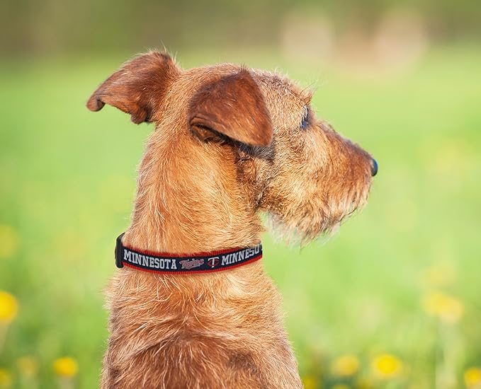MLB Minnesota Twins Licensed PET COLLAR- Heavy-Duty, Strong, and Durable Dog Collar. Available in 29 Baseball Teams and 4 Sizes