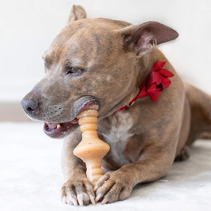 Benebone Zaggler Rolling Dog Chew Toy for Aggressive Chewers, Real Chicken, Made in USA, Medium