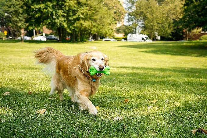 Hartz DuraPlay Bone Squeaky Latex Dog Toy, Large, 3 Pack