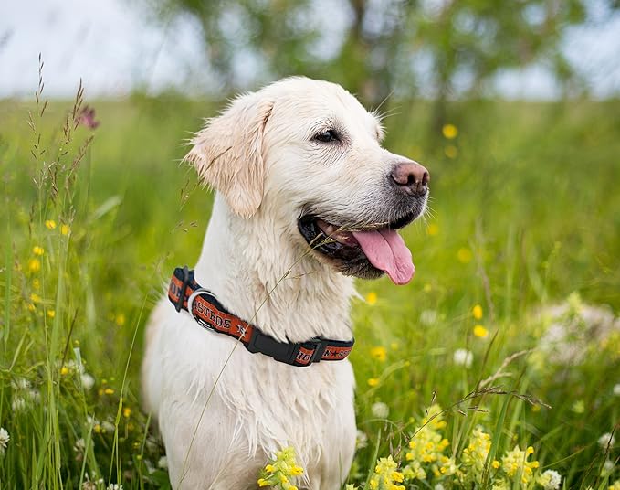 MLB Houston Astros Licensed PET COLLAR- Heavy-Duty, Strong, and Durable Dog Collar. Available in 29 Baseball Teams and 4 Sizes