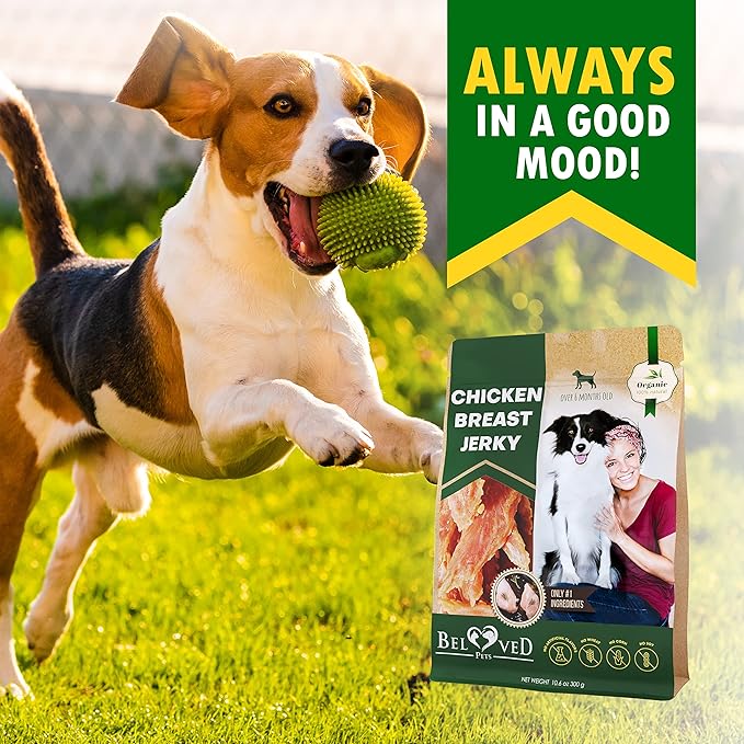 Beloved Pets Chicken Jerky Dog Treats 11 OZ - All Natural and Healthy Snacks for Large & Small Dogs - Grain Free and High Protein Meat - Human Grade Pet Chews
