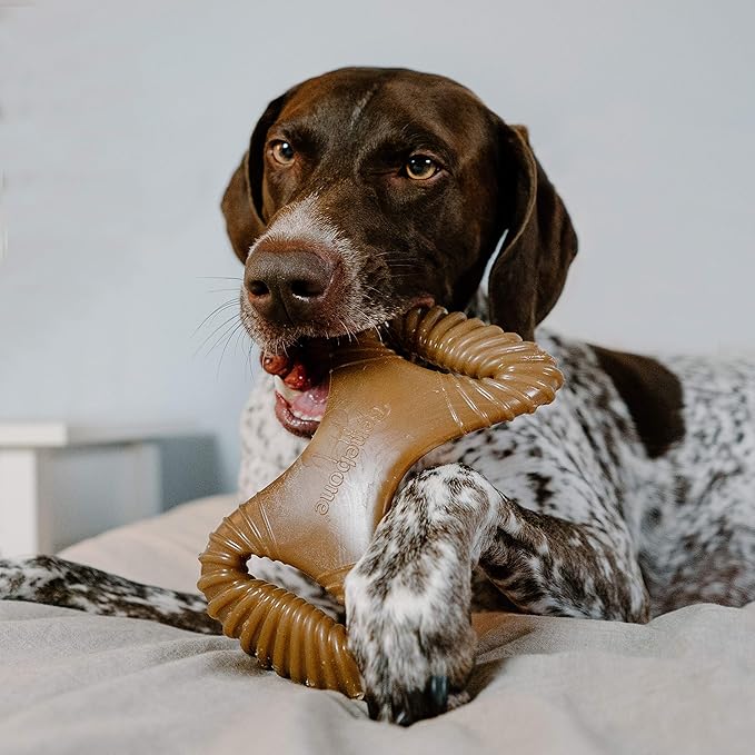 Benebone Dental Durable Dog Chew Toy for Aggressive Chewers, Real Chicken, Made in USA, Large
