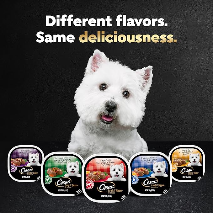 CESAR Adult Wet Dog Food Loaf & Topper in Sauce Bacon Feast Variety Pack, 3.5 oz. Easy Peel Trays, Pack of 24