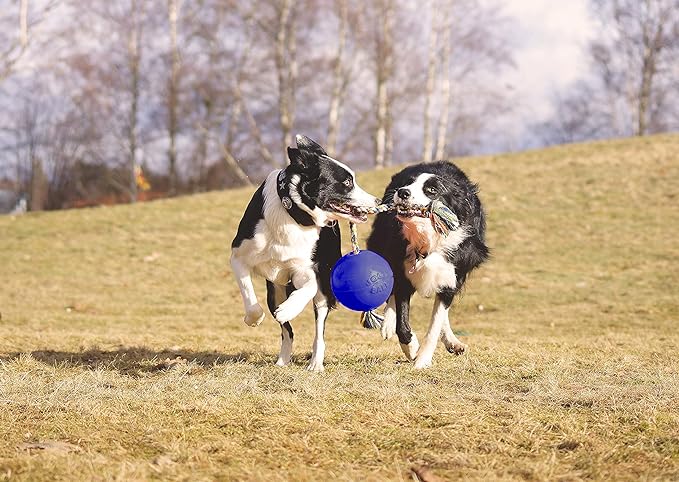 Jolly Pets Romp-n-Roll Rope and Ball Dog Toy, 8 Inches/Large, Blue, Model:608 BL