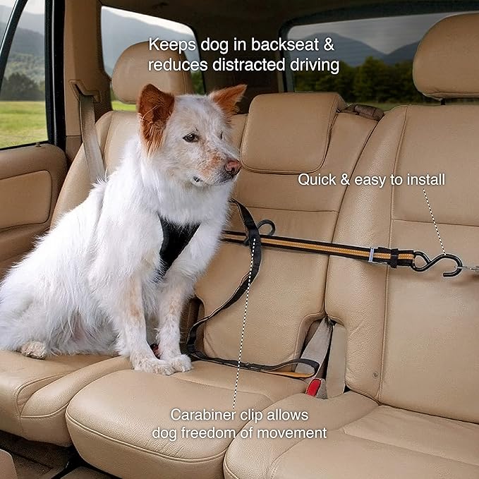 Kurgo Auto Zipline for Dogs, Adjustable Dog Safety Belt Leash, Pet Seat Belt Tether, Reduce Distracted Driving, includes Dog Leash & Carabiner Clips, 6 feet