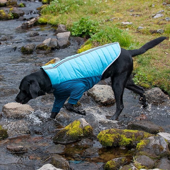 Furhaven Water-Repellent XL Dog Coat, Washable w/ Leash Access & Stretch Fabric - Pro-Fit Active Jacket - Aquamarine, Extra Large