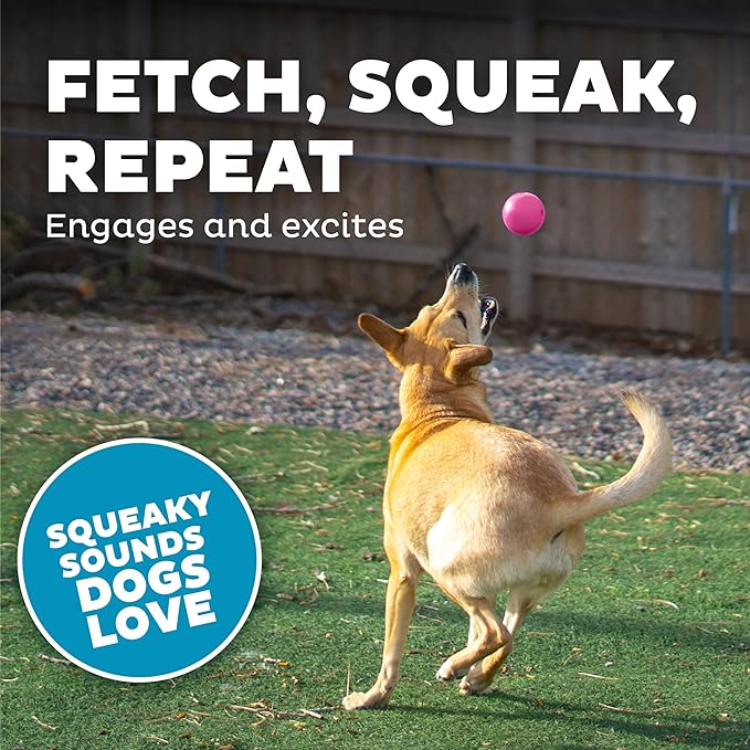 Outward Hound Orbee-Tuff Squeak Ball Pink Dog Fetch Toy