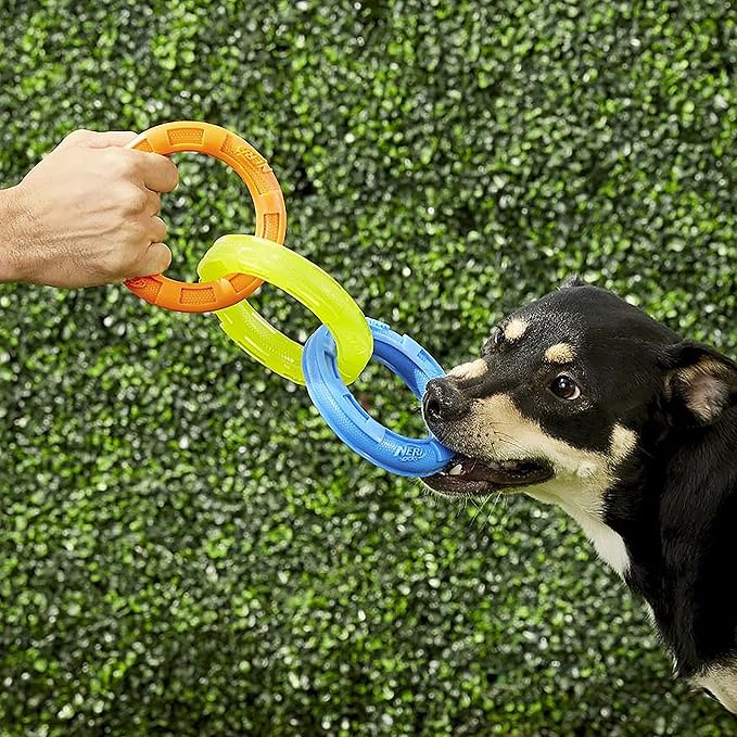 Nerf Dog 10.5in Rubber 3-Ring Tug Dog Toy, Lightweight, Durable and Water Resistant, Single Unit, Blue/Green/Orange