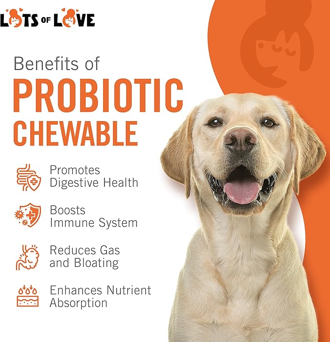 Dog Probiotic Chewable Tablets - Probiotic for Dog - Probiotic Supplement - Lots of Love Pet Products - 60 Count (Pack of 1)