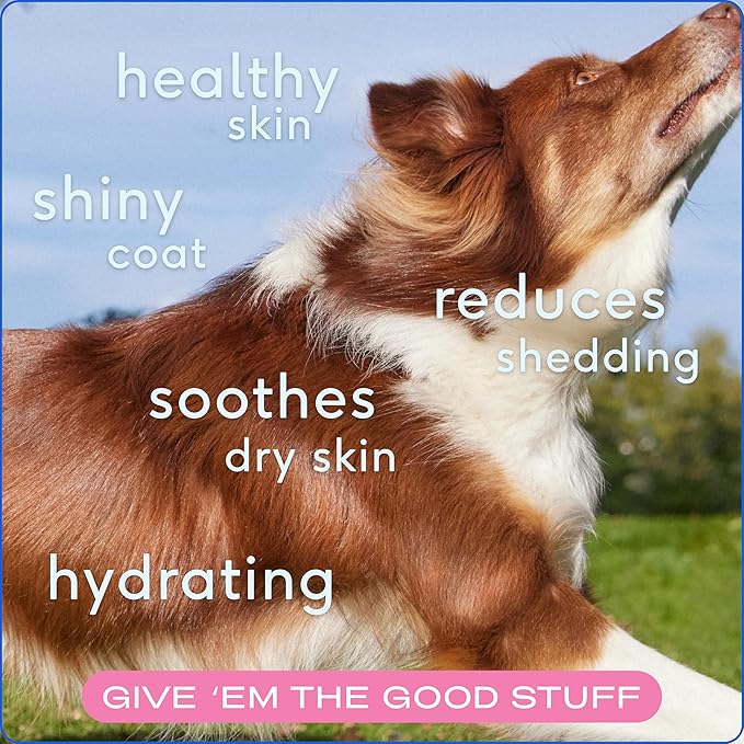 Native Pet Skin and Coat Chews for Dogs - Made with Wild-Caught Salmon Oil for Dogs Skin and Coat - Omega 3 for Dogs - Dog Shedding Supplement and Dog Hair Loss Treatment (60 Chews)