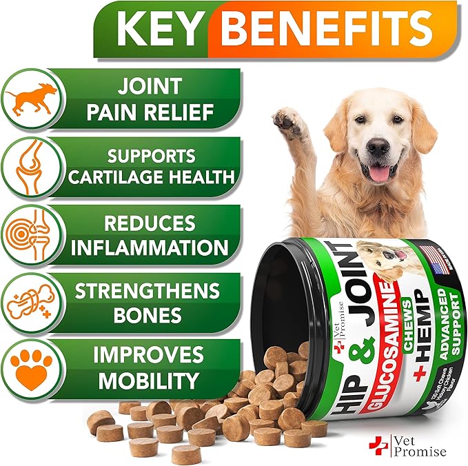 Hemp Hip and Joint Support Supplement for Dogs - Glucosamine for Dogs - Dog Joint Supplement - Hip and Joint Chews for Dogs with Chondroitin - MSM - Hemp Oil - Hemp Chews For Dogs - Dog Pain Relief