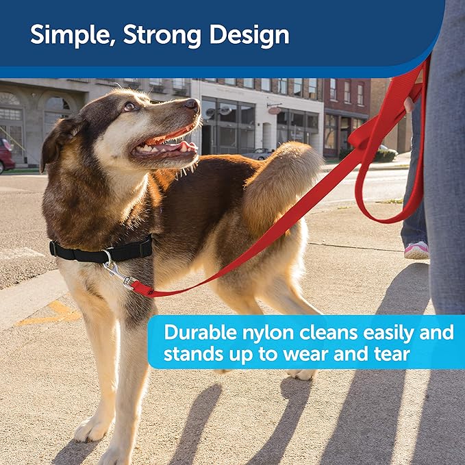 PetSafe Nylon Dog Leash - Strong, Durable, Traditional Style Leash with Easy to Use Bolt Snap - 1 in. x 6 ft., Red