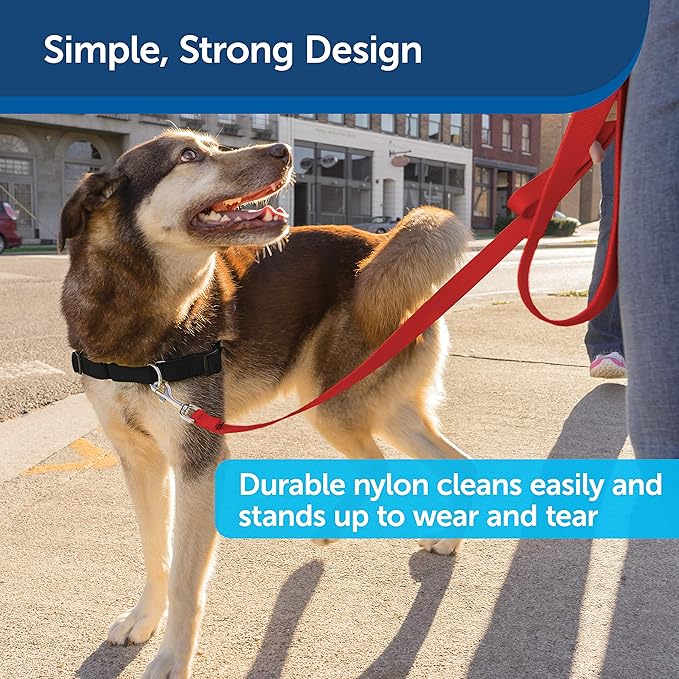 PetSafe Nylon Dog Leash - Strong, Durable, Traditional Style Leash with Easy to Use Bolt Snap - 3/4 in. x 4 ft., Red