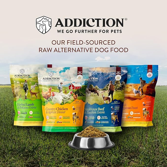 Addiction Outback Kangaroo Feast Raw Alternative Dog Food - Gently Air-Dried Complete Meal or Dog Food Topper for Digestive and Skin and Coat Health, 2 lb