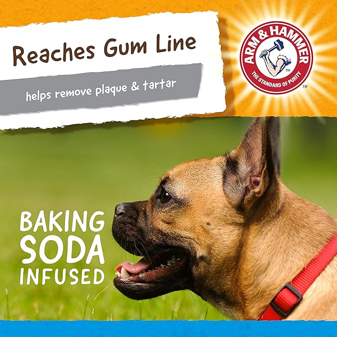 Arm & Hammer for Pets Nubbies Dental Toys Gator Dental Chew Toy for Dogs | Best Dog Chew Toy for Moderate Chewers | Reduces Plaque & Tartar Buildup Without Brushing, Gator