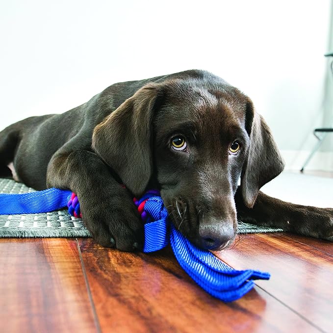 KONG - Wubbaª Tugga - Durable Cotton Rope Tug of War Dog Toy - For X-Large Dogs (Assorted Colors)