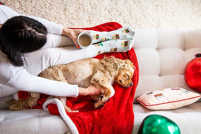 Pearhead Corgi Christmas Socks, Novelty Holiday Socks, Unisex One Size Fun Socks, Cotton Socks For Dog Lovers, Christmas Gift