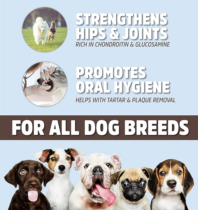 Beef Esophagus Dog Treats Grass Fed with No Added Hormone & Antibiotic All Natural Jerky Dog Treats - Dog Chews Rich in Glucosamine & Chondroitin for Joint Health (12 Inch - 1 Pound Bag)