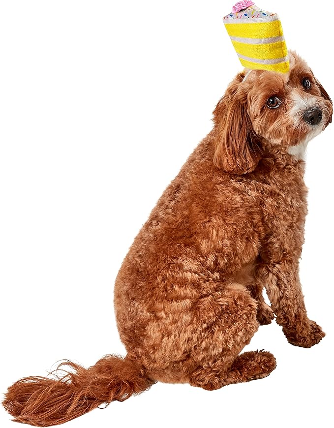 Rubie's Pet Birthday Cake Slice Hat, As Shown, Medium/Large