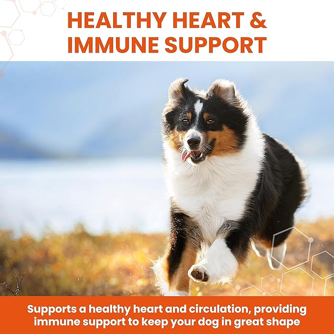 Garlic Health Supplement Tablets for Dogs, Healthy Heart, Vitality for Dogs, 240 Tablets