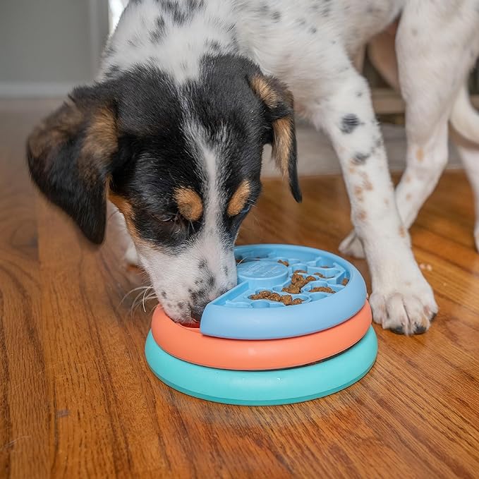 Nina Ottosson by Outward Hound Puppy Lickin' Layers Interactive Dog Puzzle Game and Slow Feeder for Puppies