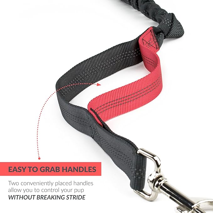 Hands Free Dog Leash, A Dog Running Leash for Dogs That Makes A Great Waist Leash for Dog Walking, Double Handle Bungee Dog Leash with Reflective Stitching and Adjustable Dog Walking Belt
