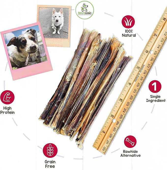 Nature Gnaws Pork Bully Sticks for Dogs - Premium Natural Dental Bones - Long Lasting Dog Chew Treats for Small Dogs & Puppies - Rawhide Free 5-6 inch (Pack of 1)