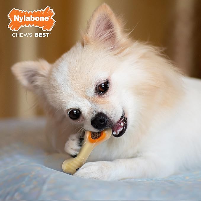 Nylabone Power Chew Knuckle Bone & Pop-In Dog Treat Toy Combo with Chicken Flavor Treat Refills, Chew Toy for Aggressive Chewers, Durable Treat Pouch, X-Small/Petite - Up to 15 lbs. (1 Count)