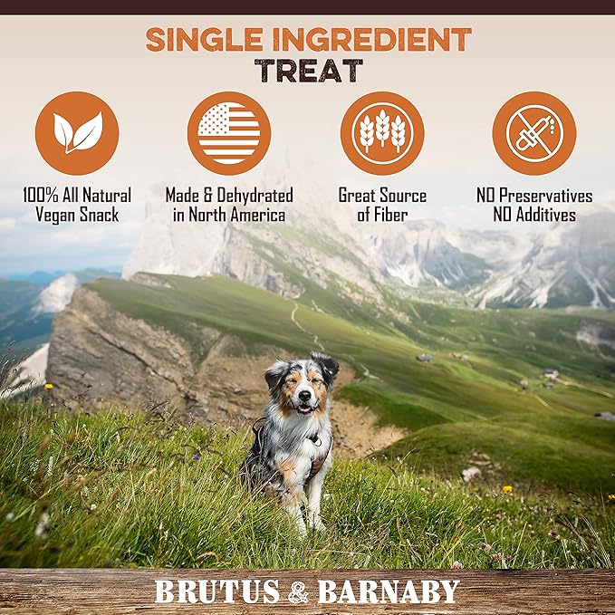 Sweet Potato Slices For Dogs - Single Ingredient Grain Free Dog Treats, Best High Anti-Oxidant Healthy 100% Natural Thick Cut Dried Sweet Potato Dog Treats With No Added Preservatives (5lb)