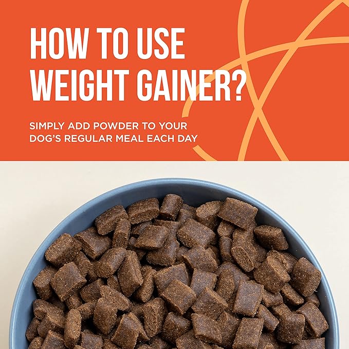 Dog Weight Gainer - Weight Gain Supplements for Dogs - Canine and Dog Muscle Builder - Dog Protein Powder - High Calorie Dog Food Supplement - Made in The USA